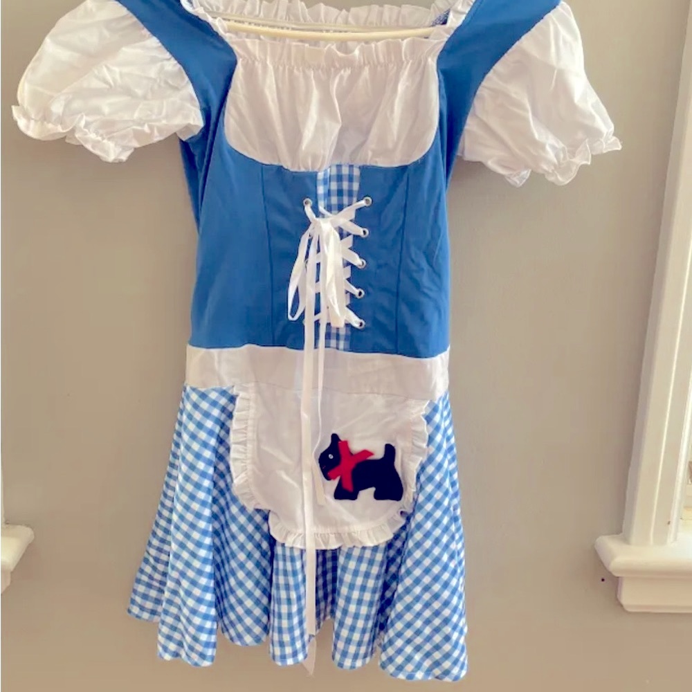 Dorothy Costume